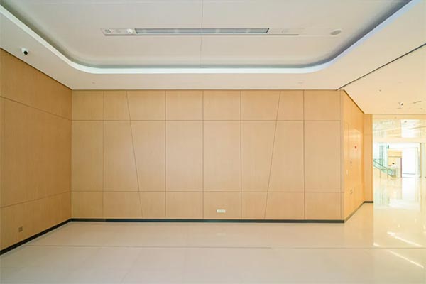 OWNIC Radiation Protection Doors Safeguard Medical Safety with Superior Quality